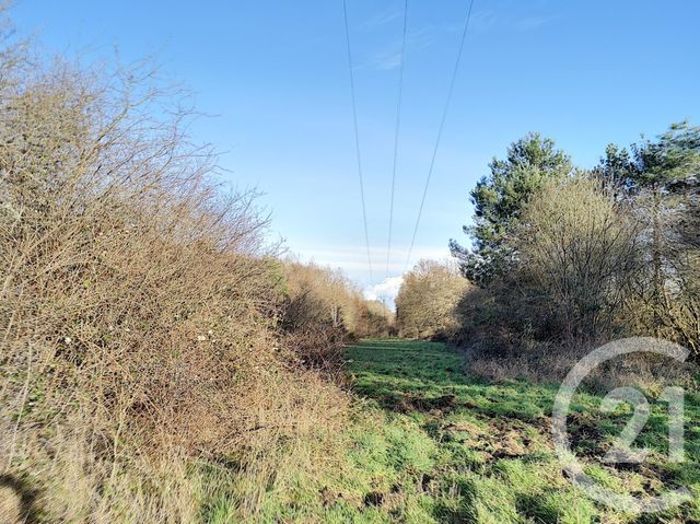 terrain à vendre - 108852.0 m2 - VILLEFRANCHE SUR CHER - 41 - CENTRE - Century 21 Sologne Immobilier