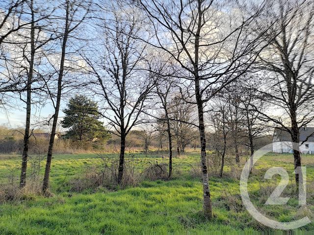 terrain à vendre - 108852.0 m2 - VILLEFRANCHE SUR CHER - 41 - CENTRE - Century 21 Sologne Immobilier