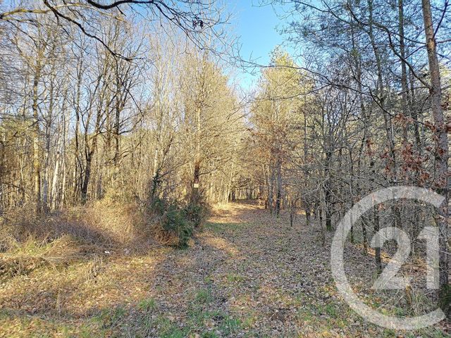 terrain à vendre - 108852.0 m2 - VILLEFRANCHE SUR CHER - 41 - CENTRE - Century 21 Sologne Immobilier
