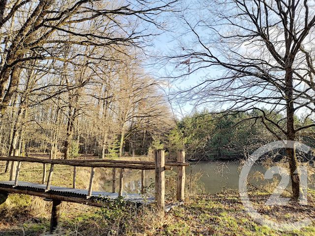 terrain à vendre - 108852.0 m2 - VILLEFRANCHE SUR CHER - 41 - CENTRE - Century 21 Sologne Immobilier