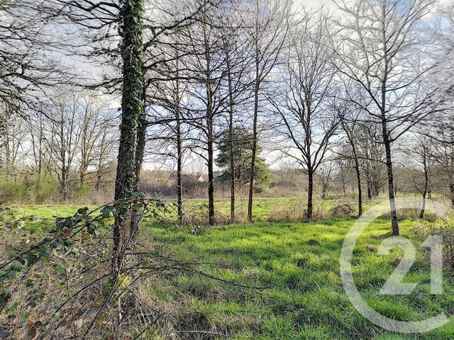 terrain à vendre - 108852.0 m2 - VILLEFRANCHE SUR CHER - 41 - CENTRE - Century 21 Sologne Immobilier