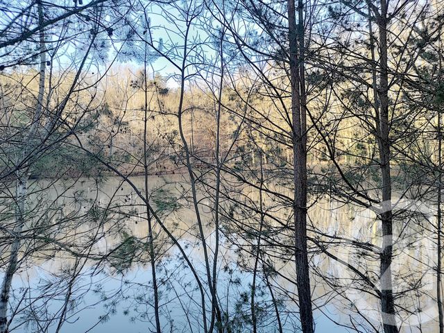 terrain à vendre - 108852.0 m2 - VILLEFRANCHE SUR CHER - 41 - CENTRE - Century 21 Sologne Immobilier