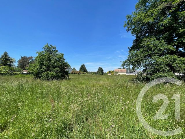 terrain à vendre - 3951.0 m2 - VILLEFRANCHE SUR CHER - 41 - CENTRE - Century 21 Sologne Immobilier