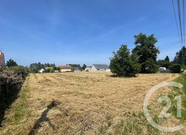 terrain à vendre - 3951.0 m2 - VILLEFRANCHE SUR CHER - 41 - CENTRE - Century 21 Sologne Immobilier