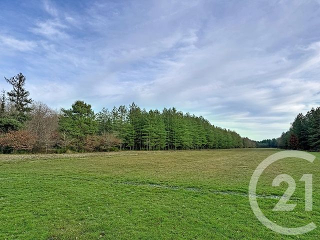 maison à vendre - 9 pièces - 338.0 m2 - 41 - CENTRE - Century 21 Sologne Immobilier