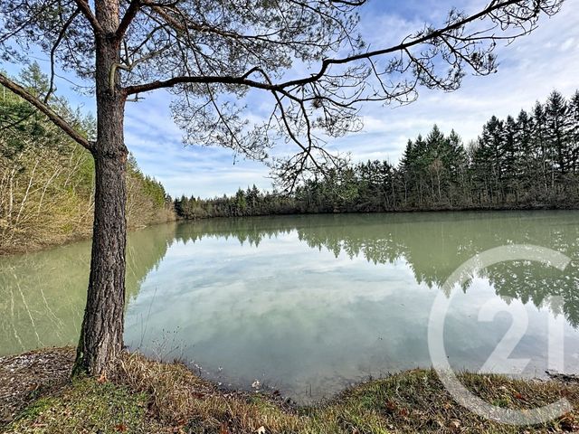 maison à vendre - 9 pièces - 338.0 m2 - 41 - CENTRE - Century 21 Sologne Immobilier