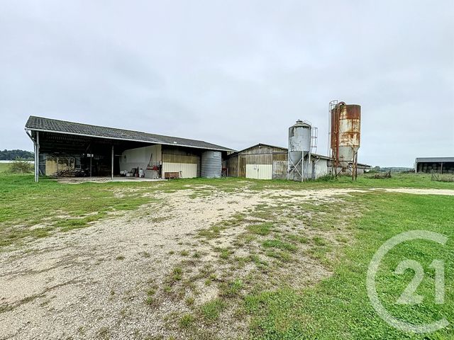 terrain à vendre - 37628.0 m2 - CHATILLON SUR CHER - 41 - CENTRE - Century 21 Sologne Immobilier