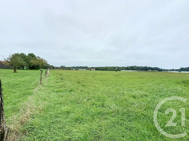 terrain à vendre - 37628.0 m2 - CHATILLON SUR CHER - 41 - CENTRE - Century 21 Sologne Immobilier
