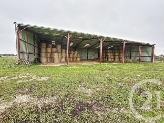 terrain à vendre - 37628.0 m2 - CHATILLON SUR CHER - 41 - CENTRE - Century 21 Sologne Immobilier