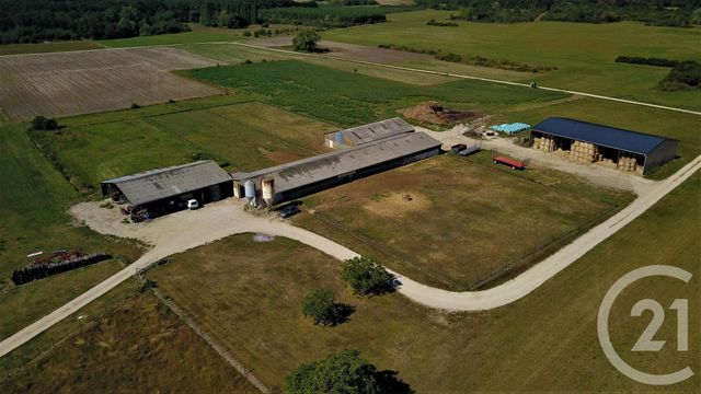 terrain à vendre - 37628.0 m2 - CHATILLON SUR CHER - 41 - CENTRE - Century 21 Sologne Immobilier
