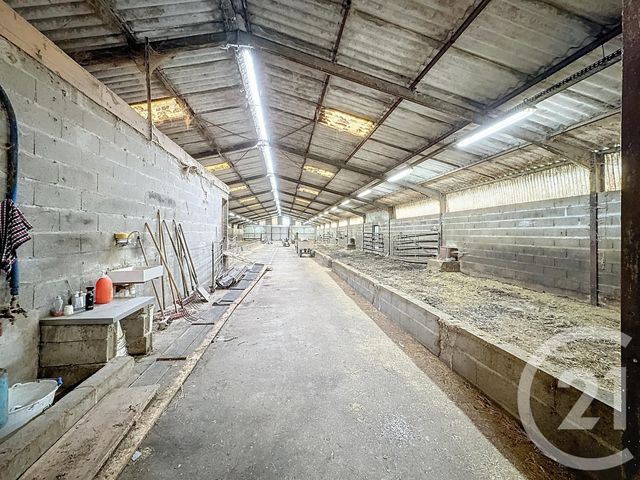 terrain à vendre - 37628.0 m2 - CHATILLON SUR CHER - 41 - CENTRE - Century 21 Sologne Immobilier