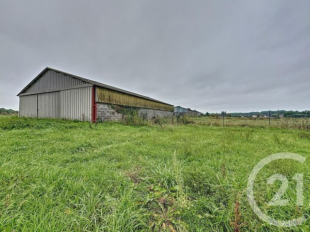terrain à vendre - 37628.0 m2 - CHATILLON SUR CHER - 41 - CENTRE - Century 21 Sologne Immobilier