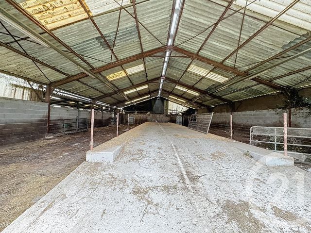 terrain à vendre - 37628.0 m2 - CHATILLON SUR CHER - 41 - CENTRE - Century 21 Sologne Immobilier