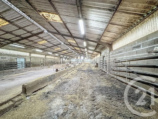 terrain à vendre - 37628.0 m2 - CHATILLON SUR CHER - 41 - CENTRE - Century 21 Sologne Immobilier