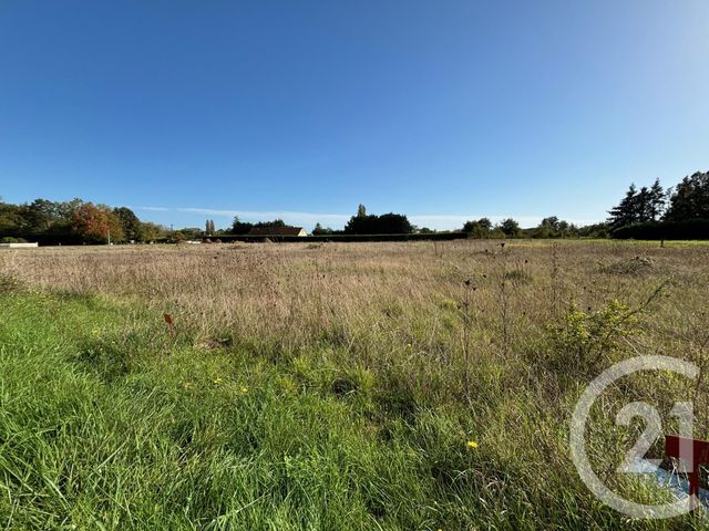 terrain à vendre - 1701.0 m2 - CHABRIS - 36 - CENTRE - Century 21 Sologne Immobilier