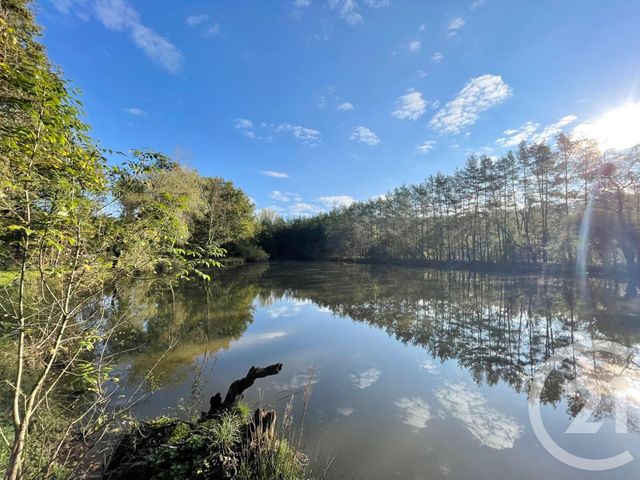 terrain à vendre - 8740.0 m2 - LANGON - 41 - CENTRE - Century 21 Sologne Immobilier