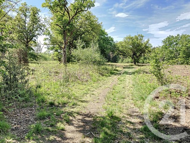 terrain à vendre - 474003.0 m2 - NOUAN LE FUZELIER - 41 - CENTRE - Century 21 Sologne Immobilier