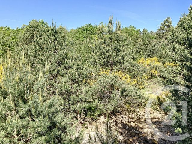 terrain à vendre - 474003.0 m2 - NOUAN LE FUZELIER - 41 - CENTRE - Century 21 Sologne Immobilier