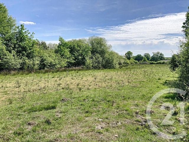 terrain à vendre - 474003.0 m2 - NOUAN LE FUZELIER - 41 - CENTRE - Century 21 Sologne Immobilier