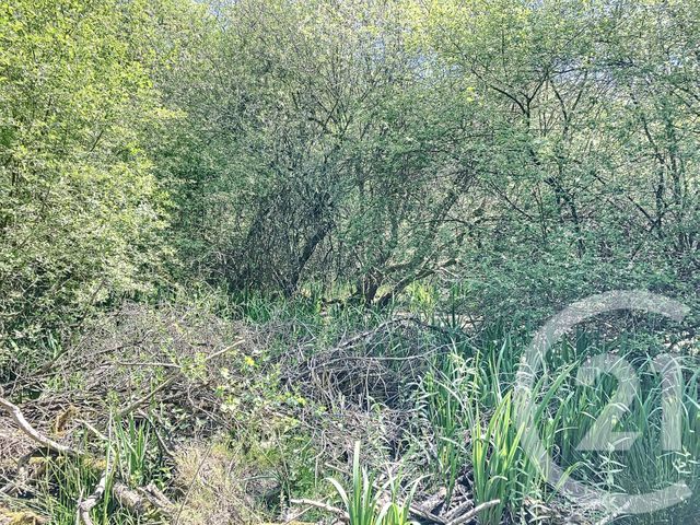 terrain à vendre - 474003.0 m2 - NOUAN LE FUZELIER - 41 - CENTRE - Century 21 Sologne Immobilier