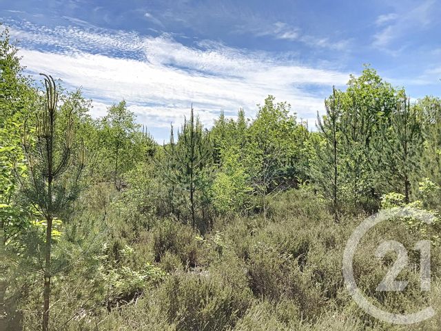 terrain à vendre - 474003.0 m2 - NOUAN LE FUZELIER - 41 - CENTRE - Century 21 Sologne Immobilier
