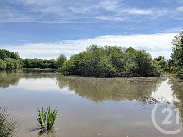 terrain à vendre - 474003.0 m2 - NOUAN LE FUZELIER - 41 - CENTRE - Century 21 Sologne Immobilier