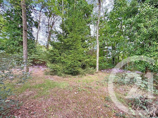 maison à vendre - 6 pièces - 181.48 m2 - VILLEFRANCHE SUR CHER - 41 - CENTRE - Century 21 Sologne Immobilier