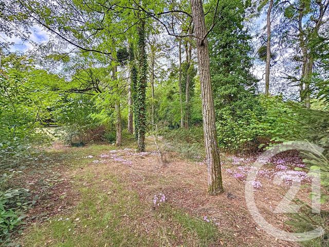 maison à vendre - 6 pièces - 181.48 m2 - VILLEFRANCHE SUR CHER - 41 - CENTRE - Century 21 Sologne Immobilier