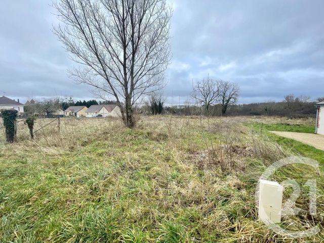 terrain - MUR DE SOLOGNE - 41