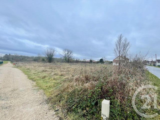 terrain - MUR DE SOLOGNE - 41