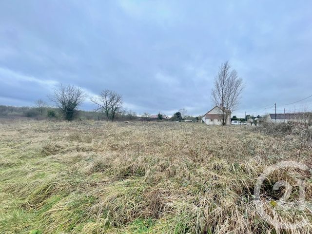 terrain - MUR DE SOLOGNE - 41