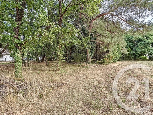 terrain à vendre - 3280.0 m2 - VILLEFRANCHE SUR CHER - 41 - CENTRE - Century 21 Sologne Immobilier