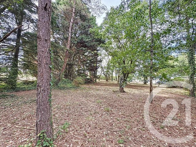 terrain à vendre - 3280.0 m2 - VILLEFRANCHE SUR CHER - 41 - CENTRE - Century 21 Sologne Immobilier