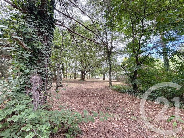 terrain à vendre - 3280.0 m2 - VILLEFRANCHE SUR CHER - 41 - CENTRE - Century 21 Sologne Immobilier