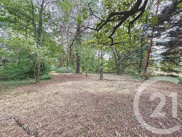 terrain à vendre - 3280.0 m2 - VILLEFRANCHE SUR CHER - 41 - CENTRE - Century 21 Sologne Immobilier