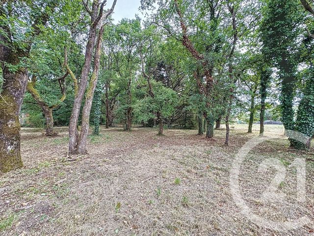 terrain à vendre - 3280.0 m2 - VILLEFRANCHE SUR CHER - 41 - CENTRE - Century 21 Sologne Immobilier