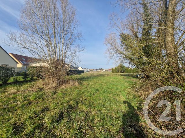 terrain - PRUNIERS EN SOLOGNE - 41