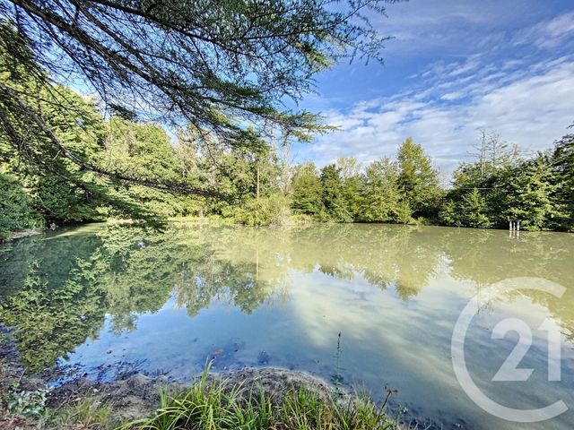 terrain - VERNOU EN SOLOGNE - 41