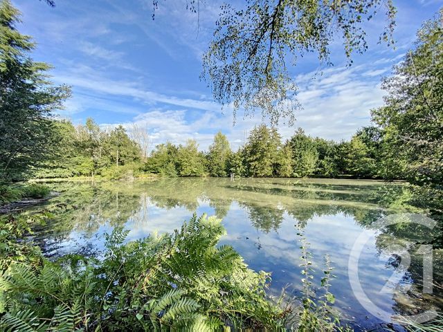 terrain à vendre - 10666.0 m2 - VERNOU EN SOLOGNE - 41 - CENTRE - Century 21 Sologne Immobilier