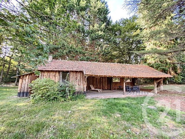 terrain à vendre - 10666.0 m2 - VERNOU EN SOLOGNE - 41 - CENTRE - Century 21 Sologne Immobilier