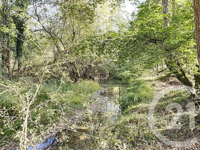terrain à vendre - 10666.0 m2 - VERNOU EN SOLOGNE - 41 - CENTRE - Century 21 Sologne Immobilier