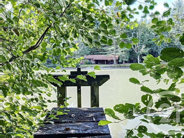 terrain à vendre - 10666.0 m2 - VERNOU EN SOLOGNE - 41 - CENTRE - Century 21 Sologne Immobilier