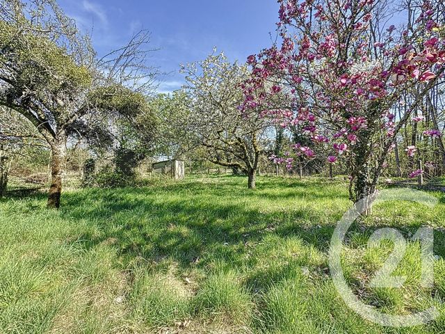 Afficher la photo en grand maison à vendre - 5 pièces - 59.38 m2 - PRUNIERS EN SOLOGNE - 41 - CENTRE - Century 21 Sologne Immobilier