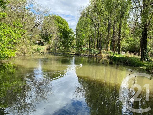 maison à vendre - 6 pièces - 152.8 m2 - PRUNIERS EN SOLOGNE - 41 - CENTRE - Century 21 Sologne Immobilier