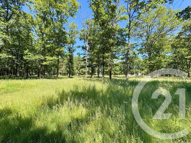 Afficher la photo en grand terrain à vendre - 11762.0 m2 - VILLEFRANCHE SUR CHER - 41 - CENTRE - Century 21 Sologne Immobilier