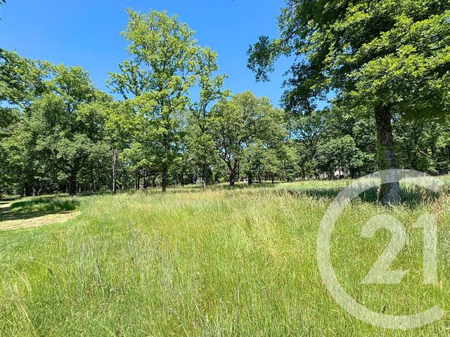 Afficher la photo en grand terrain à vendre - 11762.0 m2 - VILLEFRANCHE SUR CHER - 41 - CENTRE - Century 21 Sologne Immobilier