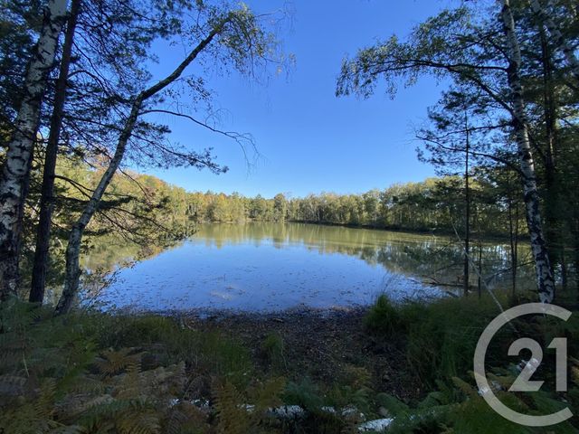 maison à vendre - 4 pièces - 180.0 m2 - 18 - CENTRE - Century 21 Sologne Immobilier