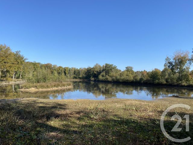 maison à vendre - 4 pièces - 180.0 m2 - 18 - CENTRE - Century 21 Sologne Immobilier