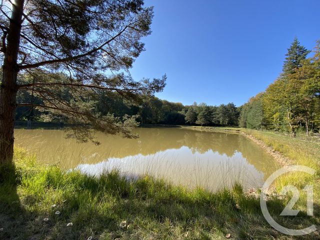 maison à vendre - 4 pièces - 180.0 m2 - 18 - CENTRE - Century 21 Sologne Immobilier