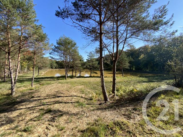 maison à vendre - 4 pièces - 180.0 m2 - 18 - CENTRE - Century 21 Sologne Immobilier